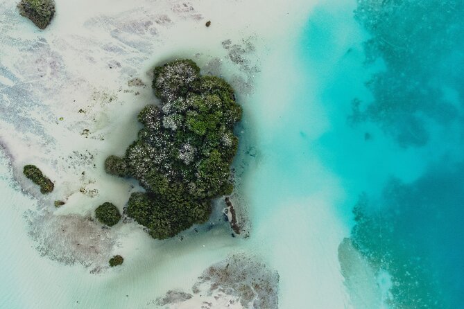 Bacalar Lagoon Sightseeing Boat Tour with Open Bar and Snacks - Pirates’ Channel: your first swim in mangrove-framed turquoise