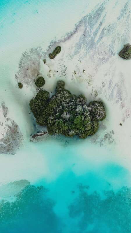Bacalar Lagoon Sightseeing Boat Tour with Open Bar & Snack - Who This Tour Is Perfect For (and Who Might Want Another Option)