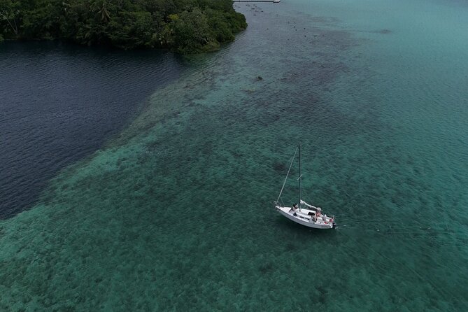 Bacalar Lagoon Tour Open Bar With Pick Up - Stop 4: Isla de los Pájaros, birds in their natural routine