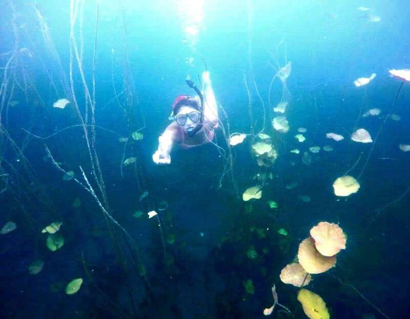 Bacalar: Magnificent Bacalar Lagoon Exclusive Boat Tour - Cenote Stops: Black, Emerald, and Cocalitos Swims