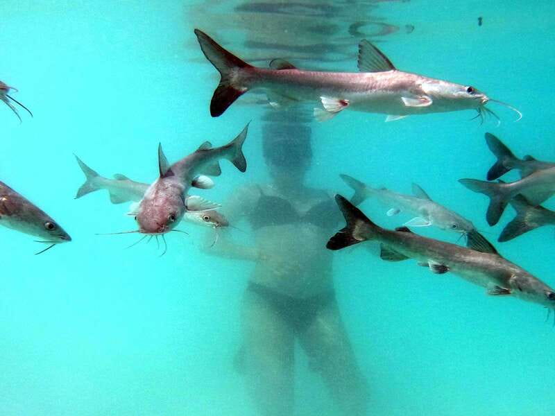 Bacalar: Magnificent Bacalar Lagoon Exclusive Boat Tour - Islands, Rivers, and Those Four Ecosystems