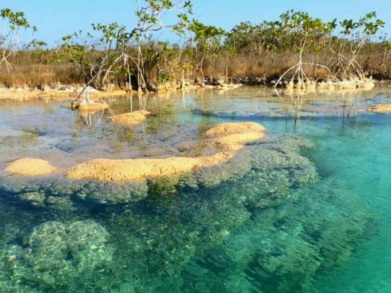 Bacalar: Magnificent Bacalar Lagoon Exclusive Boat Tour - Snorkeling in Crystal-Clear Water, With Masks and Help