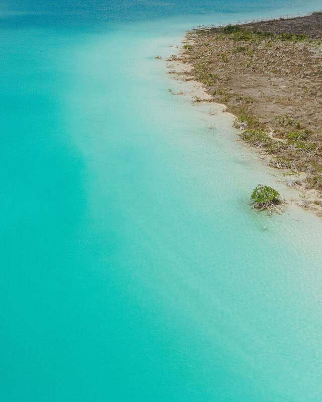 Bacalar Sunrise Stand Up Paddleboard Tour with Breakfast - Price and Value: Does $32 Make Sense for This Morning?