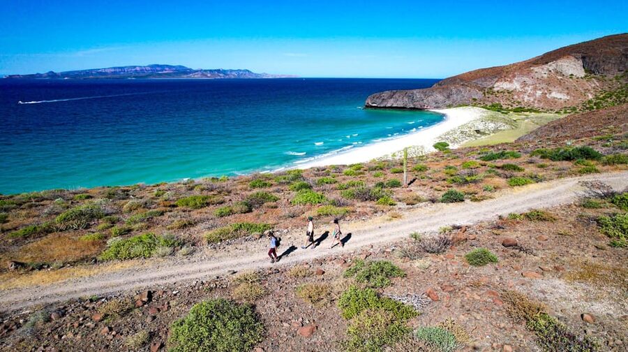 Balandra Adventure: Hike, Kayak, and Snorkel - Lunch at the beach camp: ceviche and cold drinks