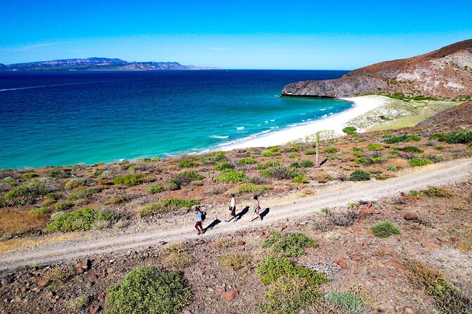 Balandra & Tecolote: hike, kayak and snorkel in paradise - Who should book this (and who should think twice)