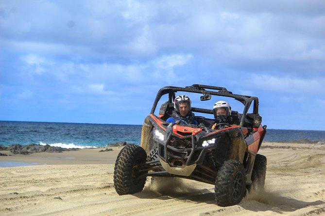 Beach and Desert Premium X3 UTV Tour in Cabo - Key highlights worth knowing before you go