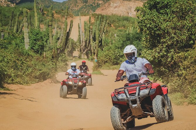 Beach ATV Adventure, Free Horseback Ride, and Sky Bike Experience - Sky bikes at altitude plus an ecological hike, the view you pedal for