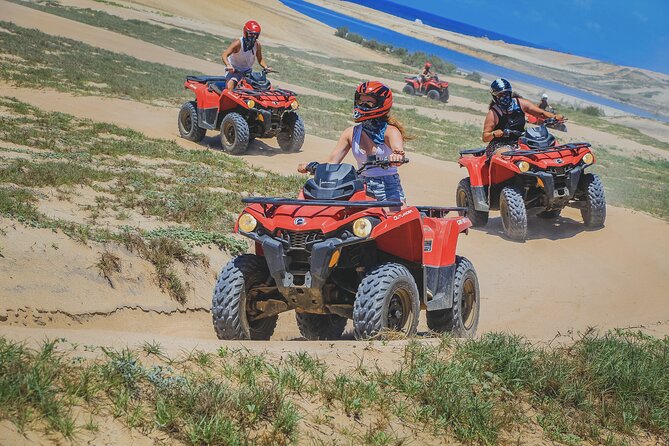 Beach ATV Adventure, Free Horseback Ride, and Sky Bike Experience - Price and park fees, and how to avoid surprise costs
