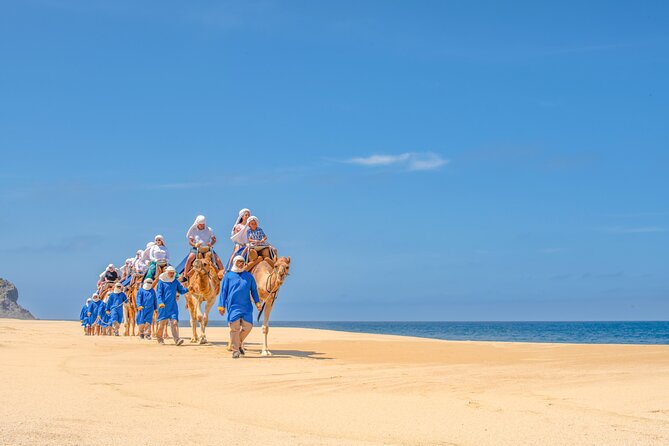 Beach Camel Ride and All-inclusive Beach Club - Tierra Sagrada pickup and the scenic run to the ranch