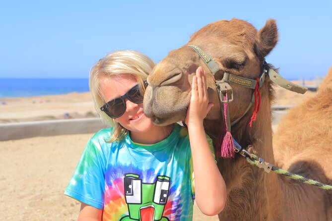 Beach Camel Ride and Encounter in Cabo - Quick hits to know before you go