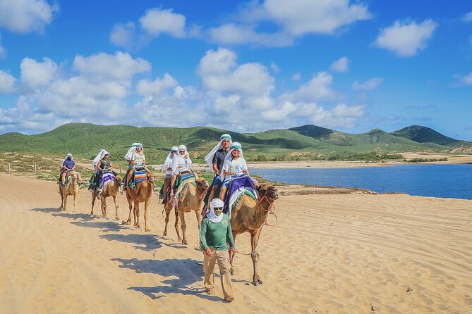 Beach Camel Ride and Encounter in Cabo - The camel ride on the beach: timing, comfort, and ocean views