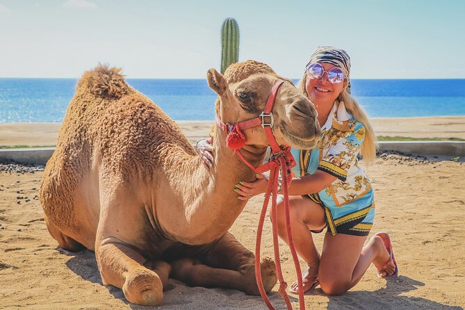 Beach Camel Ride and Encounter in Cabo - Desert safari ride and the reality of the schedule