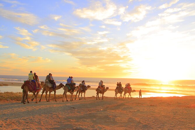 Beach Camel Ride and Encounter in Cabo - Meal, soft drinks, water, and the tequila tasting stop