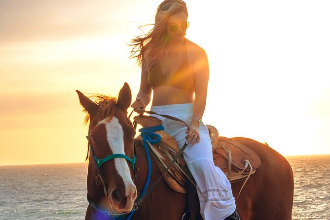 Beach Camel Ride and Sky Bike in Cabo - Transition to Playa Migriño: sky bike views and camel riding at the shore
