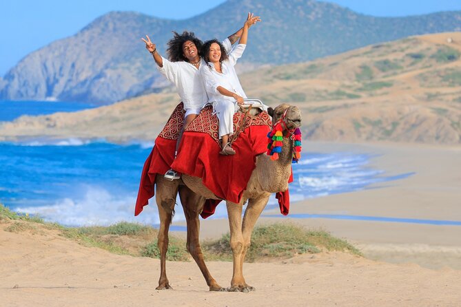 Beach CAN-AM SXS X3 and Camel Ride in Cabo - Camel Encounter and Beach Riding: When the Pace Drops