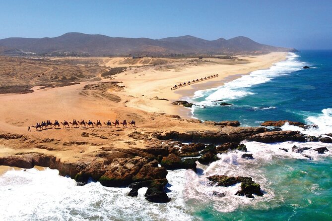 Beach CAN-AM SXS X3 and Camel Ride in Cabo - Price and Value: What $175 Covers, Plus the Fees You Should Expect