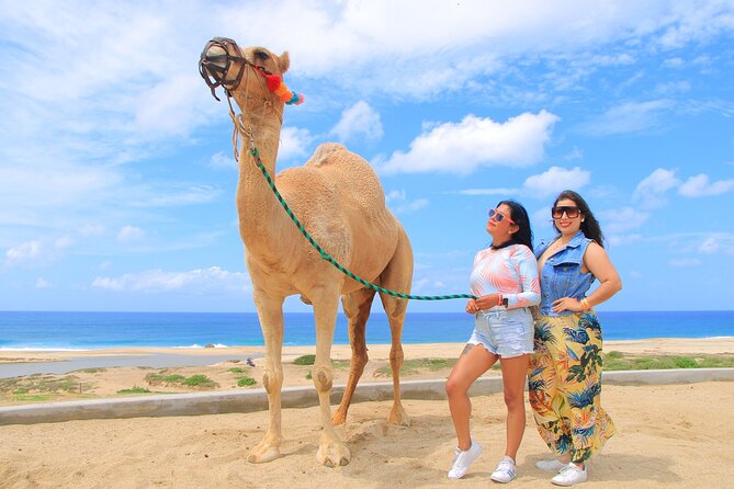 Beach CAN-AM SXS X3 and Camel Ride in Cabo - Who This Cabo Adventure Is Best For