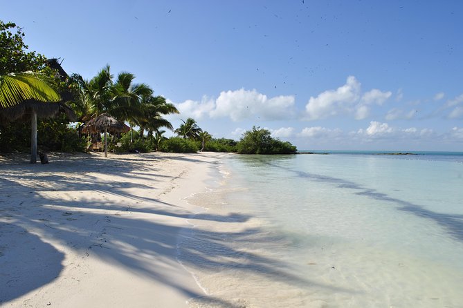 Beach Escape: Isla Contoy and Isla Mujeres with Snorkeling. - Picking up, paying the fee, and what is actually included