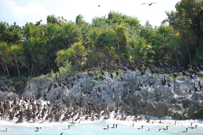 Beach Escape: Isla Contoy and Isla Mujeres with Snorkeling. - Lunch on the island day: better than most boat-food