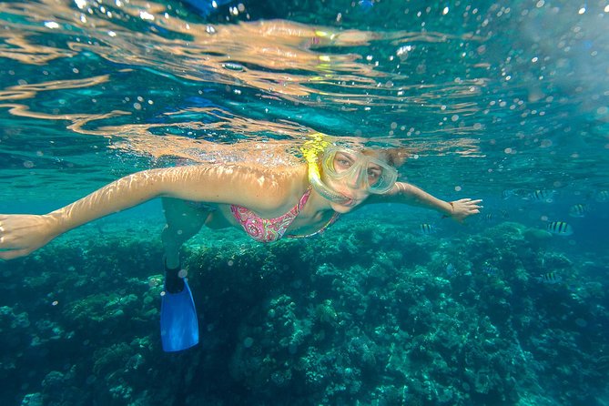 Beach Hopper Small-Group Snorkeling Tour in Los Cabos - Price and value: what $220 buys you in Cabo
