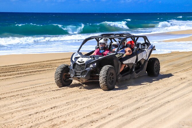 Beach UTV Adventure with Free Camel and Horseback Ride - Camel encounter and beach riding: animal time with ocean views