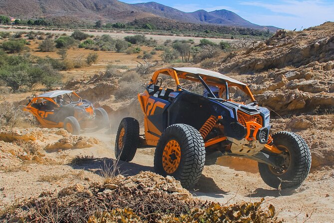 Beach UTV and Camel Ride Combo in Cabo - Check-in, herpetarium stop, and getting kitted up