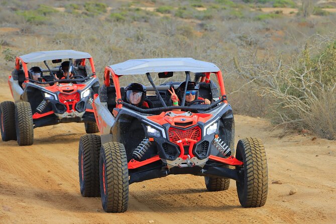 Beach UTV and Camel Ride Combo in Cabo - Lunch and the tequila tasting, what’s worth expecting