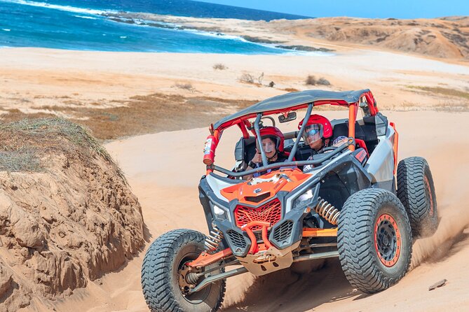 Beach UTV and Camel Ride Combo in Cabo - Who should book this UTV and camel combo, and who should skip it