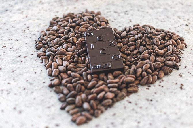Bean to Bar Chocolate Workshop in Puerto Vallarta - Timing, meeting point, and how to plan your afternoon