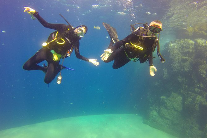 Beginner Scuba Diving in Cabo San Lucas - Beginner scuba in Cabo, the pace that helps you relax