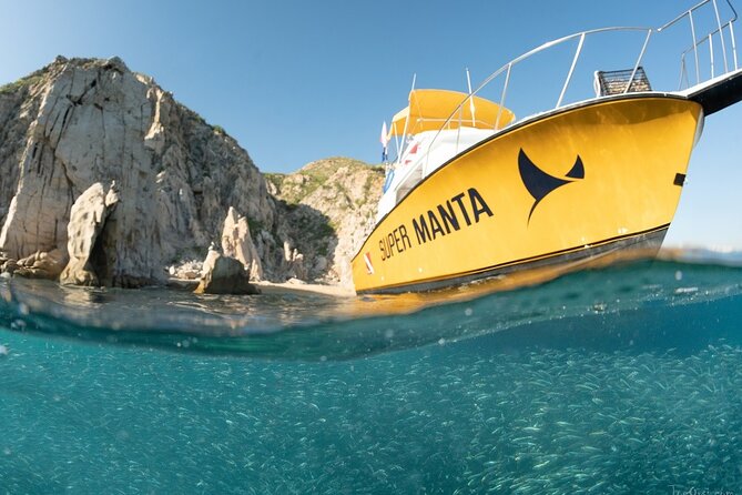 Beginner Scuba Diving in Cabo San Lucas - Safety rules you actually notice, especially with ear pressure