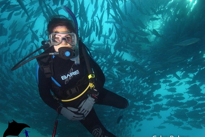 Beginner Scuba Diving in Cabo San Lucas - Price and value: what $142 really buys you