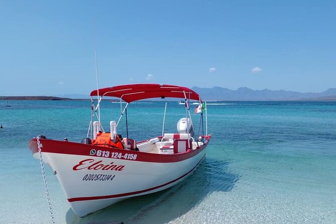 Best Tour to Coronados Island - Why Isla Coronado works for a half-day out of Loreto