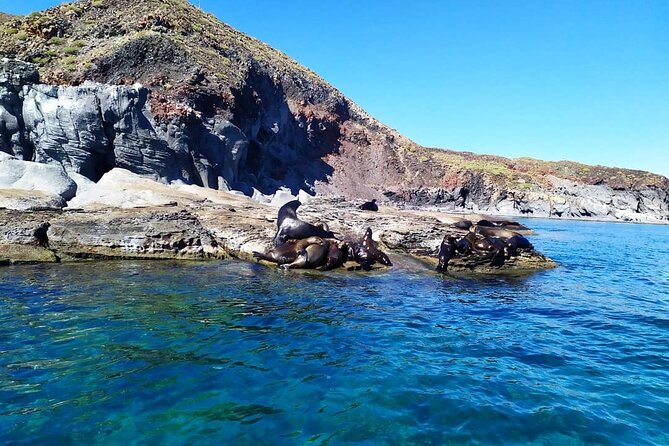 Best Tour to Coronados Island - Arriving at the protected beach: walk, views, and chill time on Coronado