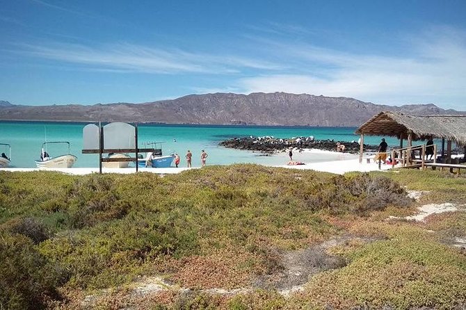 Best Tour to Coronados Island - Snorkeling expectations: clear water can be great, but conditions vary