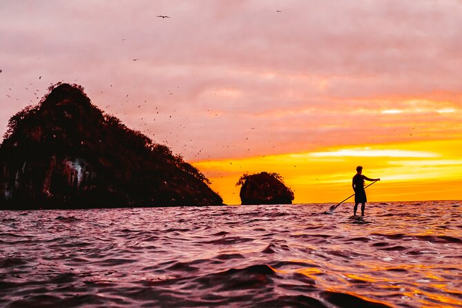 Bioluminescence by kayak or SUP to Los Arcos Puerto Vallarta - Bioluminescence in plain language: why it lights up when you move