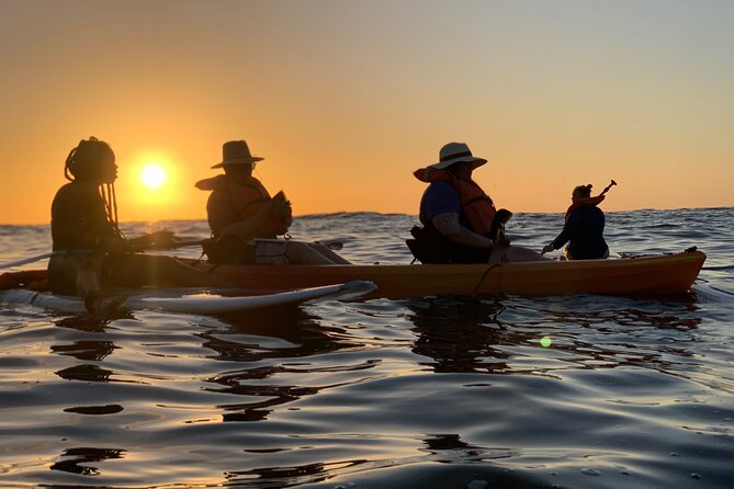 Bioluminescence by kayak or SUP to Los Arcos Puerto Vallarta - Paddling to Los Arcos: what you see besides the glow
