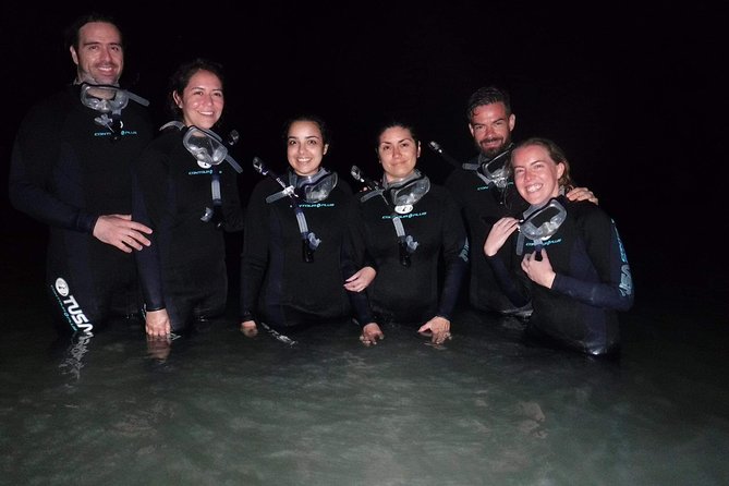 Bioluminescence Experience in Holbox - Entering Holbox Bioluminescence Mode: When the Night Matters
