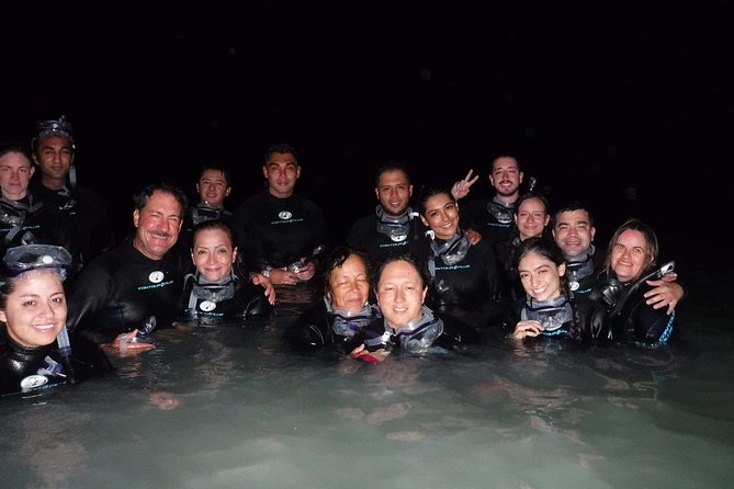 Bioluminescence Experience in Holbox - Stars First, Then Plankton: What Happens After Pickup