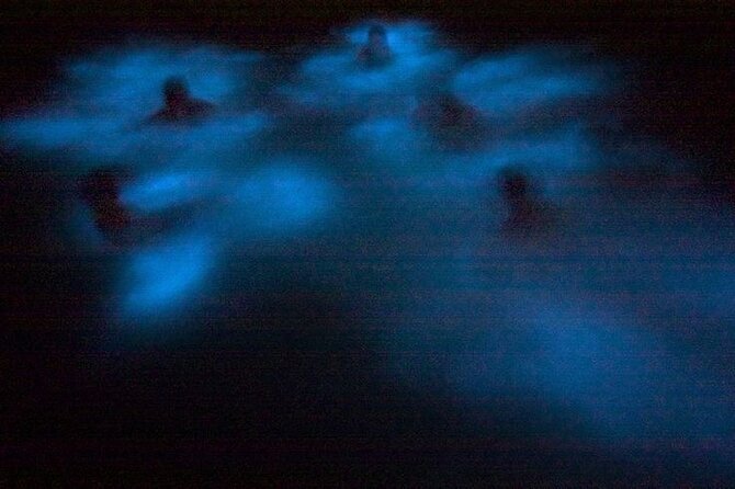 Bioluminescence & sunset local boat tour to Los Arcos Sanctuary - The Los Arcos sanctuary portion: what the arches teach you