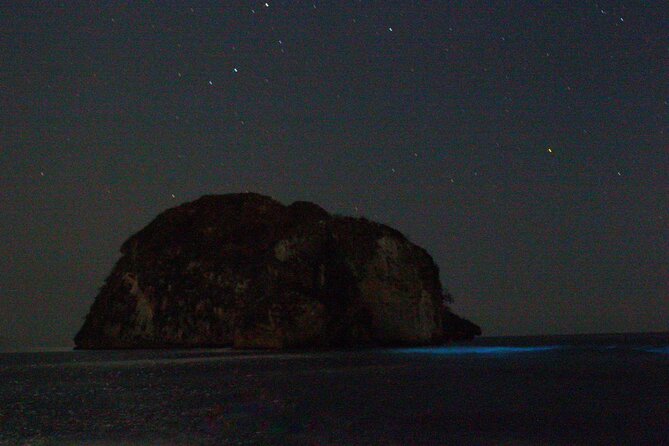 Bioluminescence & sunset local boat tour to Los Arcos Sanctuary - Wildlife bonuses you might catch on the same ride