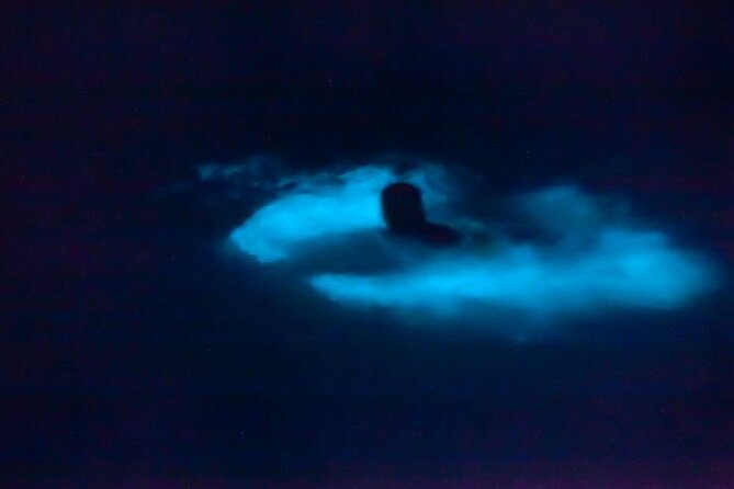 Bioluminescence & sunset local boat tour to Los Arcos Sanctuary - On the water before Los Arcos: sunset or sunrise photos, plus wildlife chances