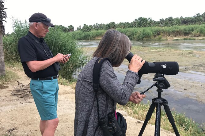 Birding San Jose Estuary Los Cabos Mexico - Key points to know before you go