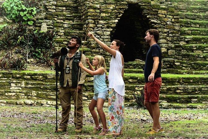 Birdwatching at The Mayan Cities with certified guide - Dzibanche - Kinichna: ruins plus birds, all in one coherent walk