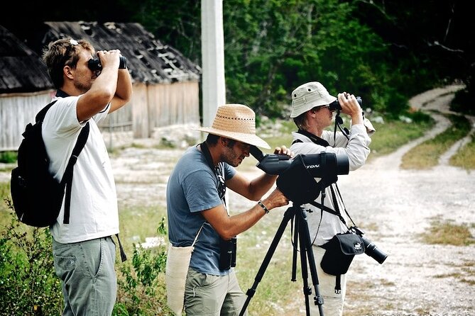 Birdwatching in Sian Ka´an Muyil from Tulum - Shared Group Tour - Birdwatching and Mayan Muyil in one early-morning plan