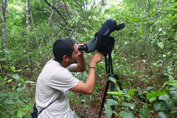 Birdwatching in Sian Ka´an Muyil from Tulum - Shared Group Tour - Zona Arqueologica de Muyil: ruins, trading post history, and birds at the same time