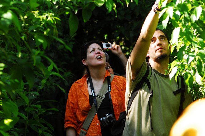 Birdwatching in Sian Ka´an Muyil from Tulum - Shared Group Tour - Lake Chunyaxche optional boat and lazy river float: worth it if you love waterbirds