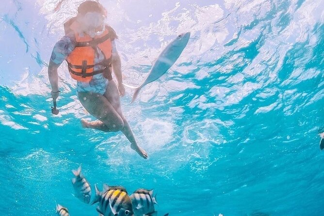 Boat and Snorkel Tour to 5 Islands of Los Arcos - Five islands, sea caves, and bird sanctuary vibes in Los Arcos