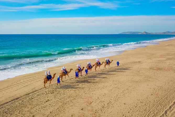 Boat Ride to the Arch and Beach Camel Ride in Cabo San Lucas - Key points that matter before you go
