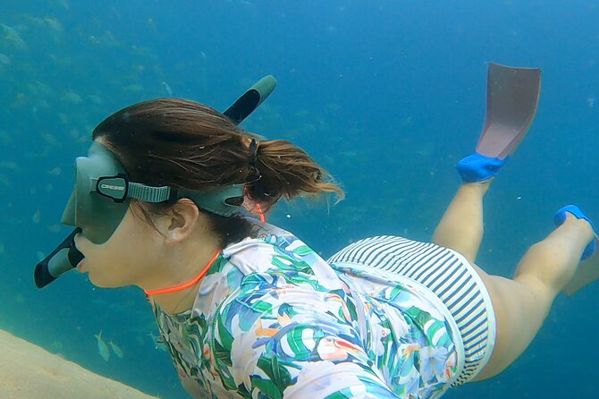Boat ride to the Arch and Snorkel - Snorkeling near the reef: gear, fish variety, and staying comfortable